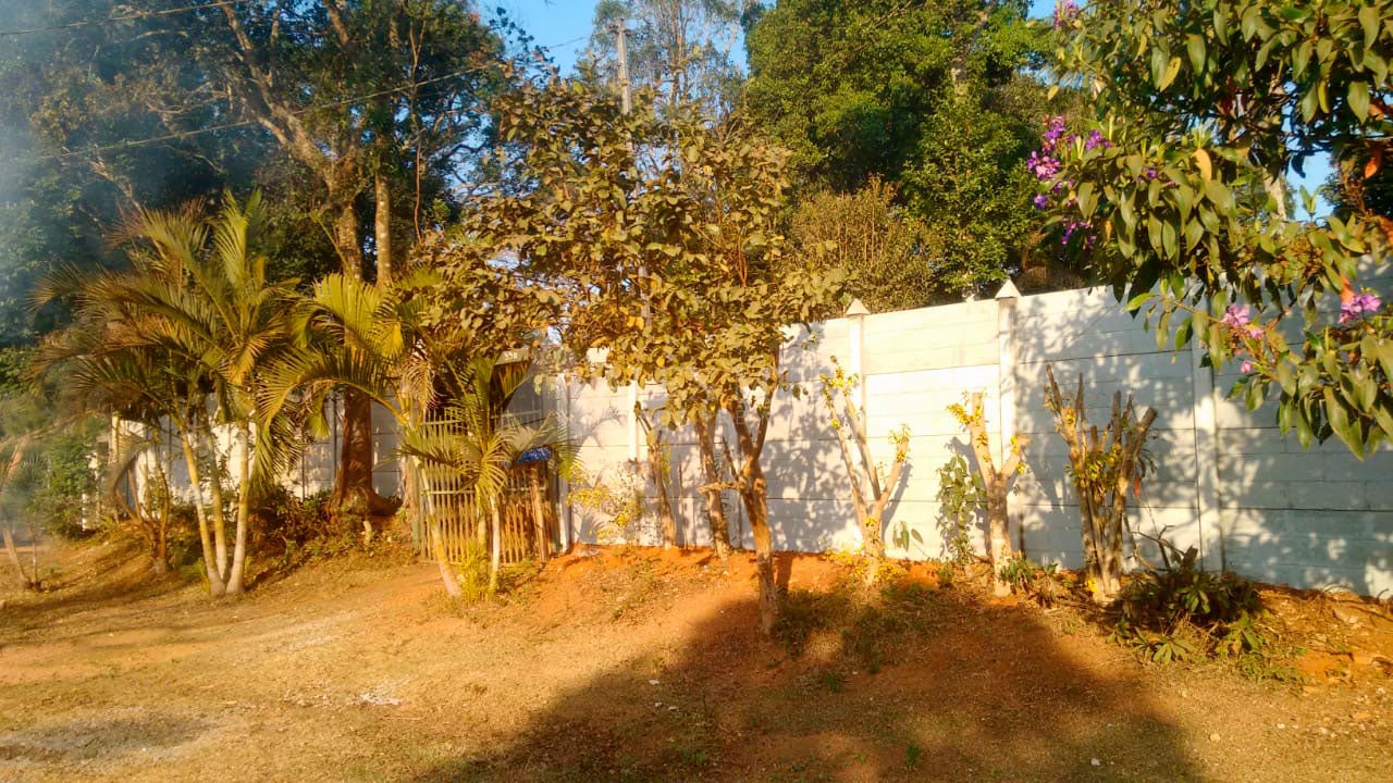 Alex Muros Pré-moldados